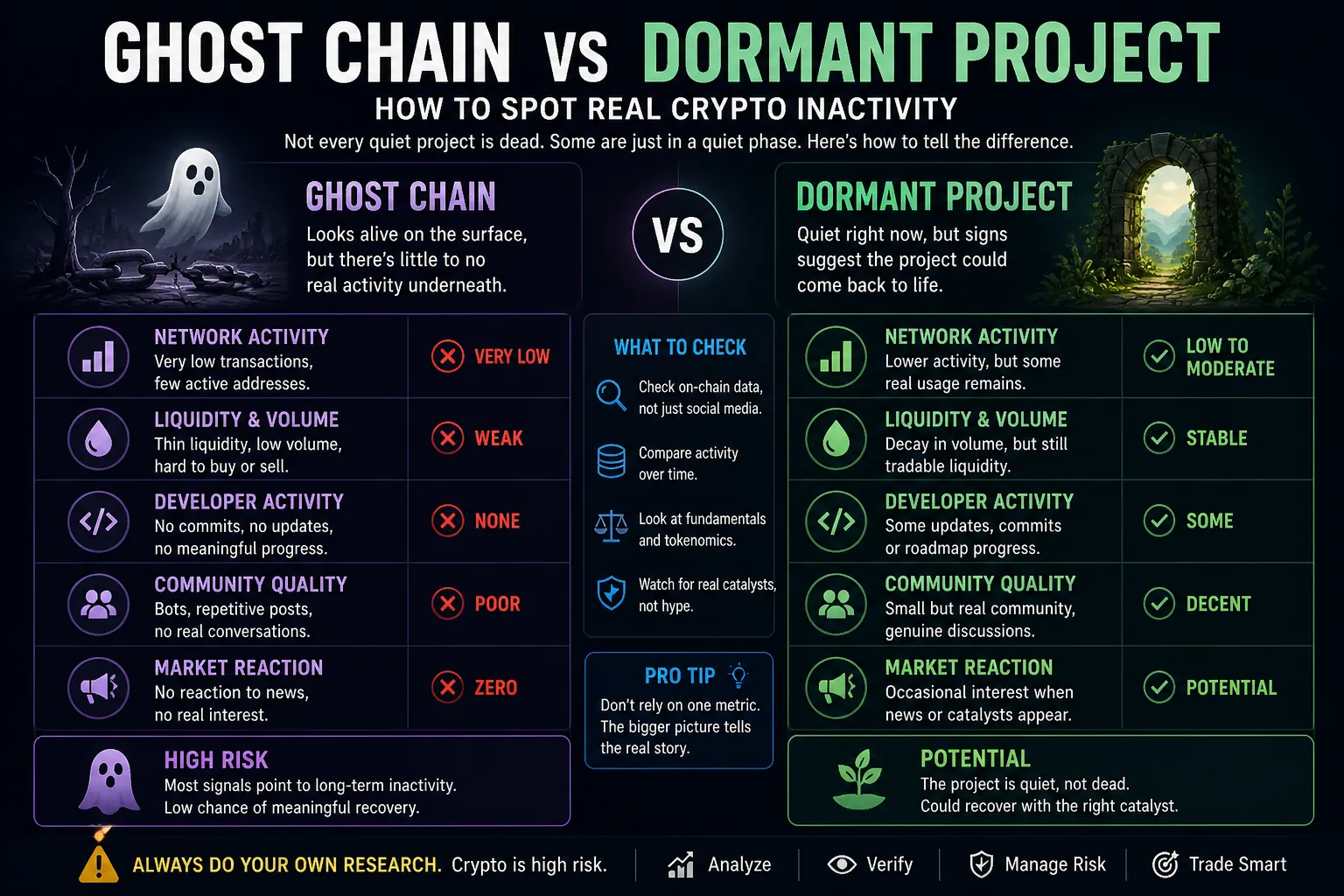 Vergleich von Ghost Chains und ruhenden Krypto-Projekten, der Inaktivität und Potenzial für zukünftiges Wachstum hervorhebt.