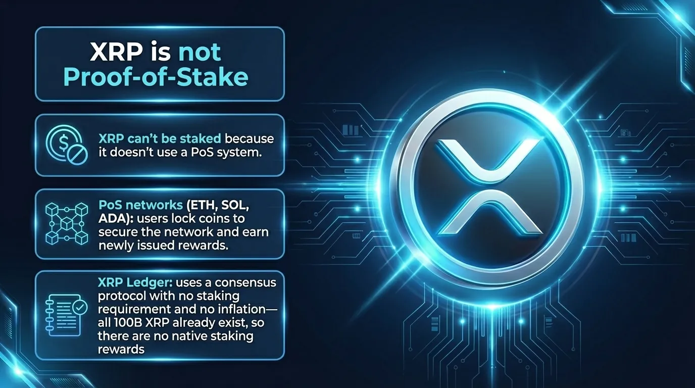 Infographic explaining XRP staking, highlighting its current price and market trends in cryptocurrency.