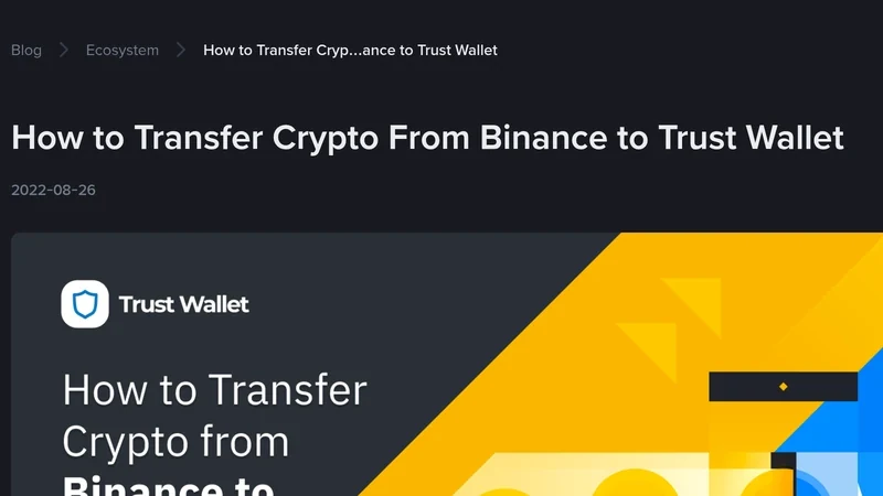 Binanceから自己保管ウォレットへの暗号通貨移動に関するチュートリアルページ