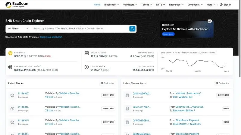 BscScan screenshot for blockchain explorer article