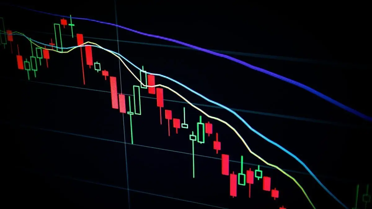 Comparison of bull market and bear market characteristics in cryptocurrency trading