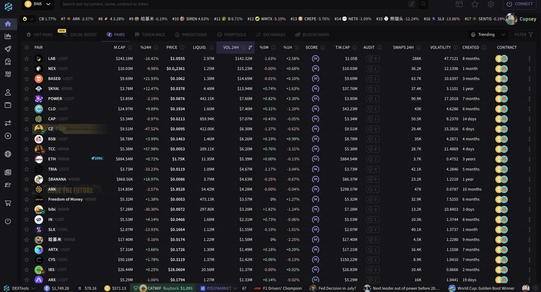 The DEXTools trending pairs list on BNB Chain restyled with a purple theme preset, with purple score badges, purple sidebar icons and a dark purple-tinted interface