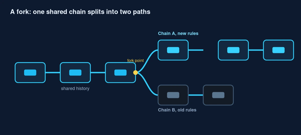 Diagram of a blockchain fork where one shared chain splits into two separate paths