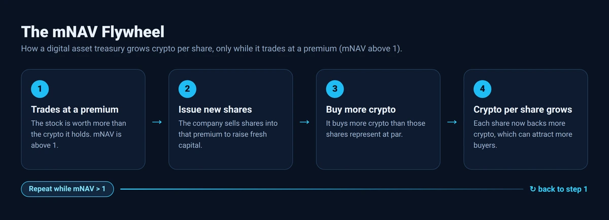 Diagram of the mNAV flywheel showing how a treasury grows crypto per share while at a premium