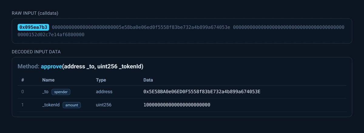 Decoded calldata of a token approval showing the function selector, the approve function, spender and amount