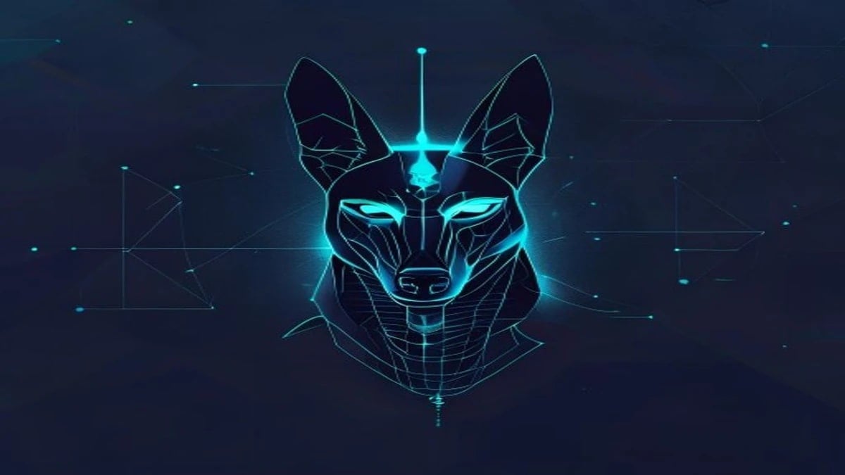 Cadeia Anubis: Privacidade Seletiva L1 com Provas PLONK ZK