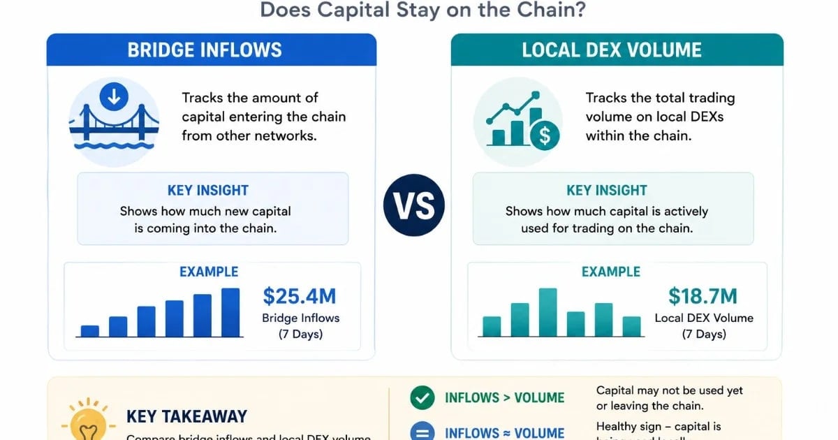 Flux d'entrée des ponts vs Volume DEX Local : Le capital reste-t-il sur la chaîne ?