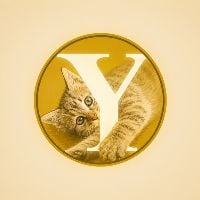 Home | DEXTools